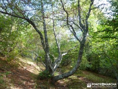 Montaña palentina;tienda montana madrid rutas en bici por la sierra de madrid gr 10 madrid